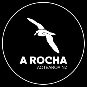 ARANZ Badge - AS Colour Mens Stencil Hoodie Design