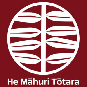 HMT - AS Colour Mens Staple T shirt Design