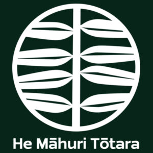 HMT - AS Colour Mens Stencil Hoodie Design