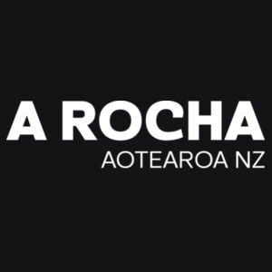 ARANZ wordmark - AS Colour Womens Dice Longsleeve Tee Design