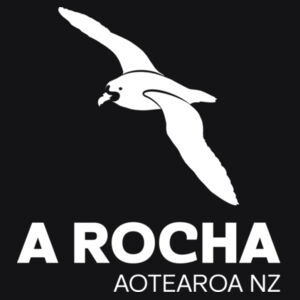 ARANZ Large Petrel - AS Colour Womens Dice Longsleeve Tee Design