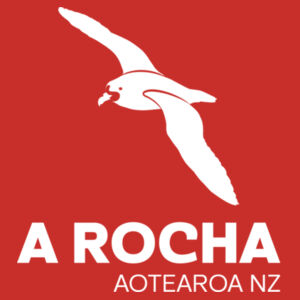 ARANZ Large Petrel - AS Colour Kids Youth T shirt Design