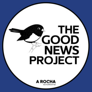 The Good News Project - AS Colour Mens Relax Hood Design