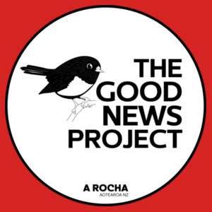 The Good News Project - AS Colour Mens Staple Tee Design