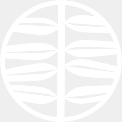 He Māhuri Tōtara Thumbnail